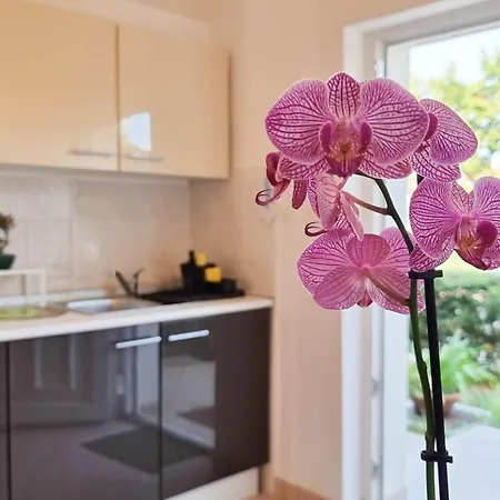 Apartman Bosko